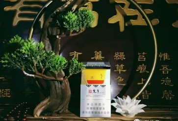 低价江山香烟批发|江山香烟报价